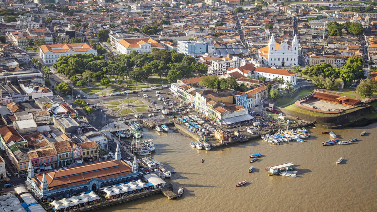 COP30 em Belém: por que falar inglês será essencial para aproveitar oportunidades de trabalho