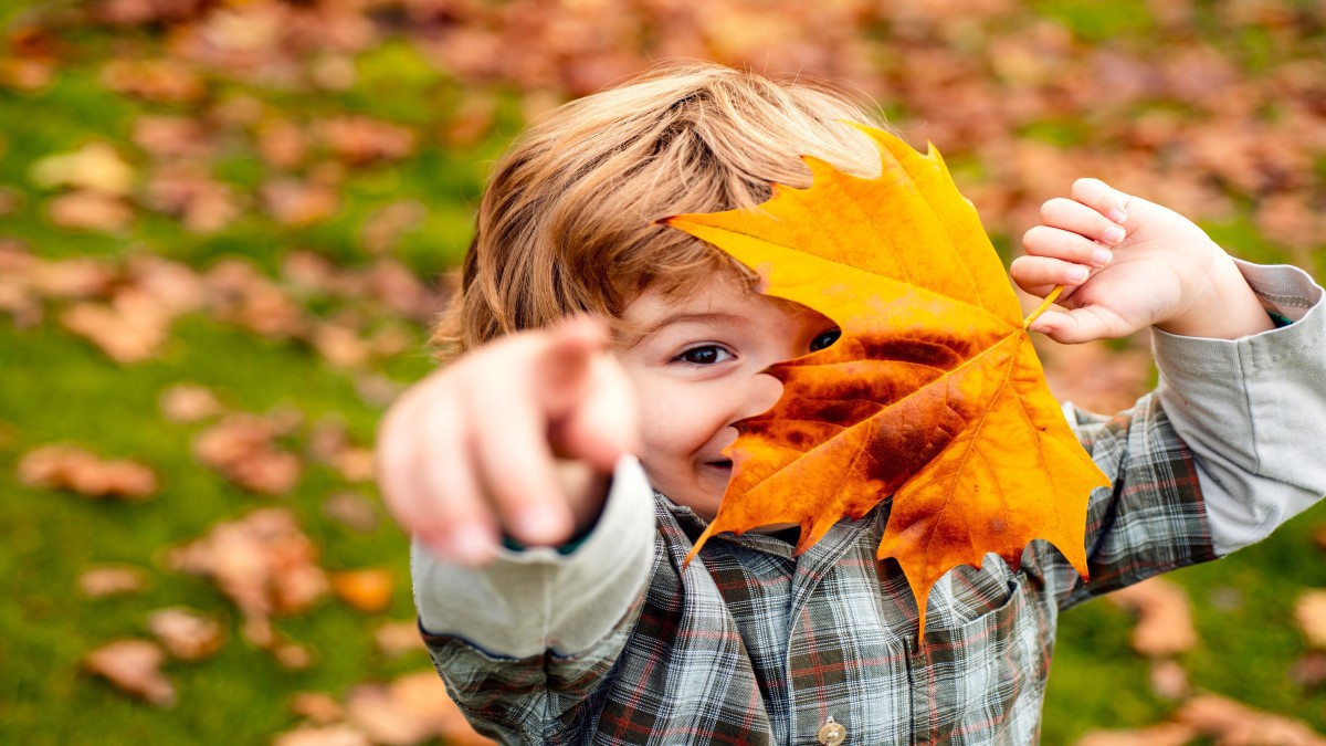 7 atividades para fazer com seu filho durante o outono